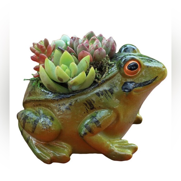 Frog Planter Medium Flower Pot Resin Succulent Tabletop Container Decor - Picture 1 of 2